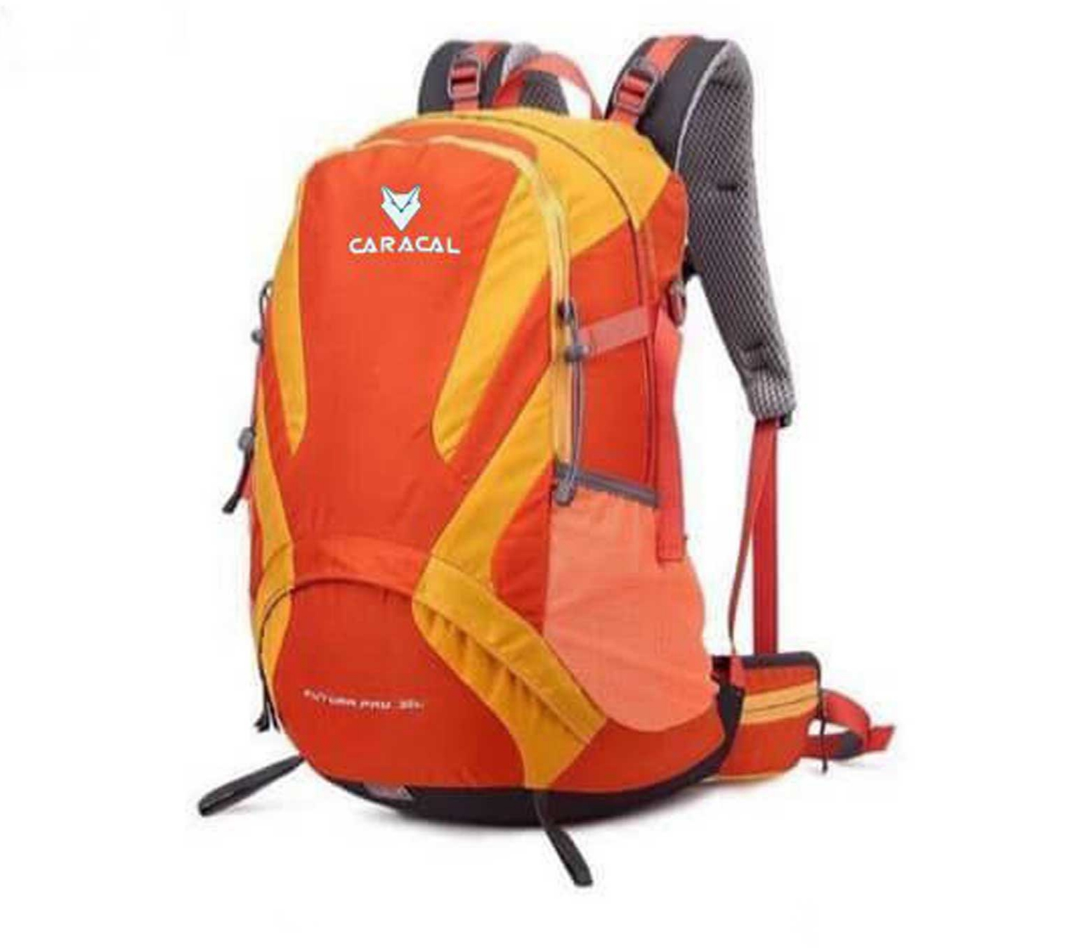 کوله‌پشتی 22 لیتری کاراکال مدل Caracal Futura pro