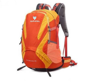 کولهپشتی 22 لیتری کاراکال مدل Caracal Futura pro
